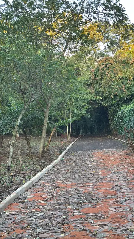 Belleza natural en todo su esplendor